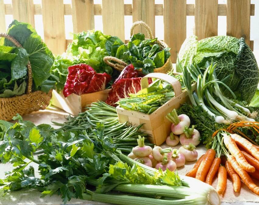 Đảm bảo protein, chất béo lành mạnh và rau xanh