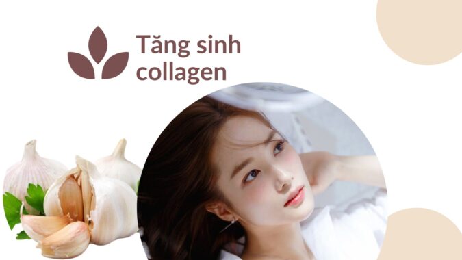Tăng sinh collagen tự nhiên bằng tỏi